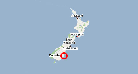 Dunedin Location