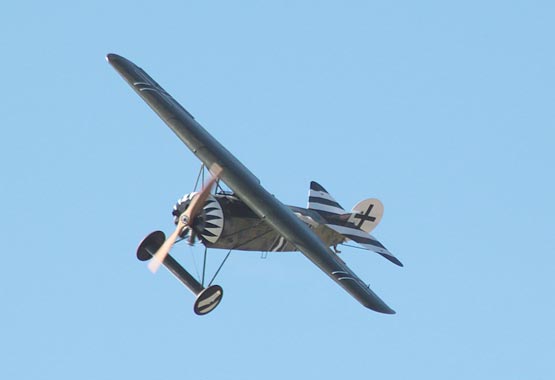 Fokker D8