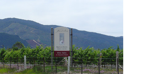 (Wine Vineyards)